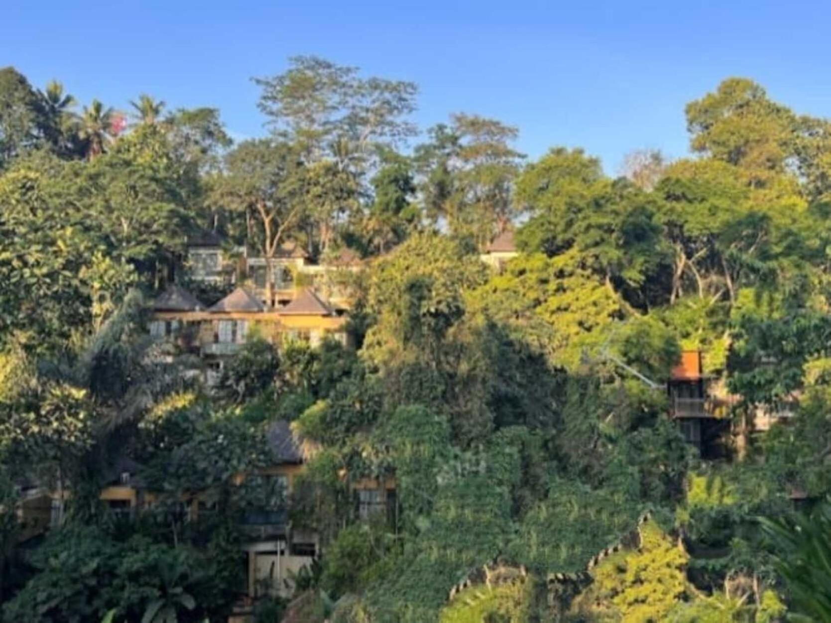Pondok Kungkang Villa 2 Ubud Dış mekan fotoğraf