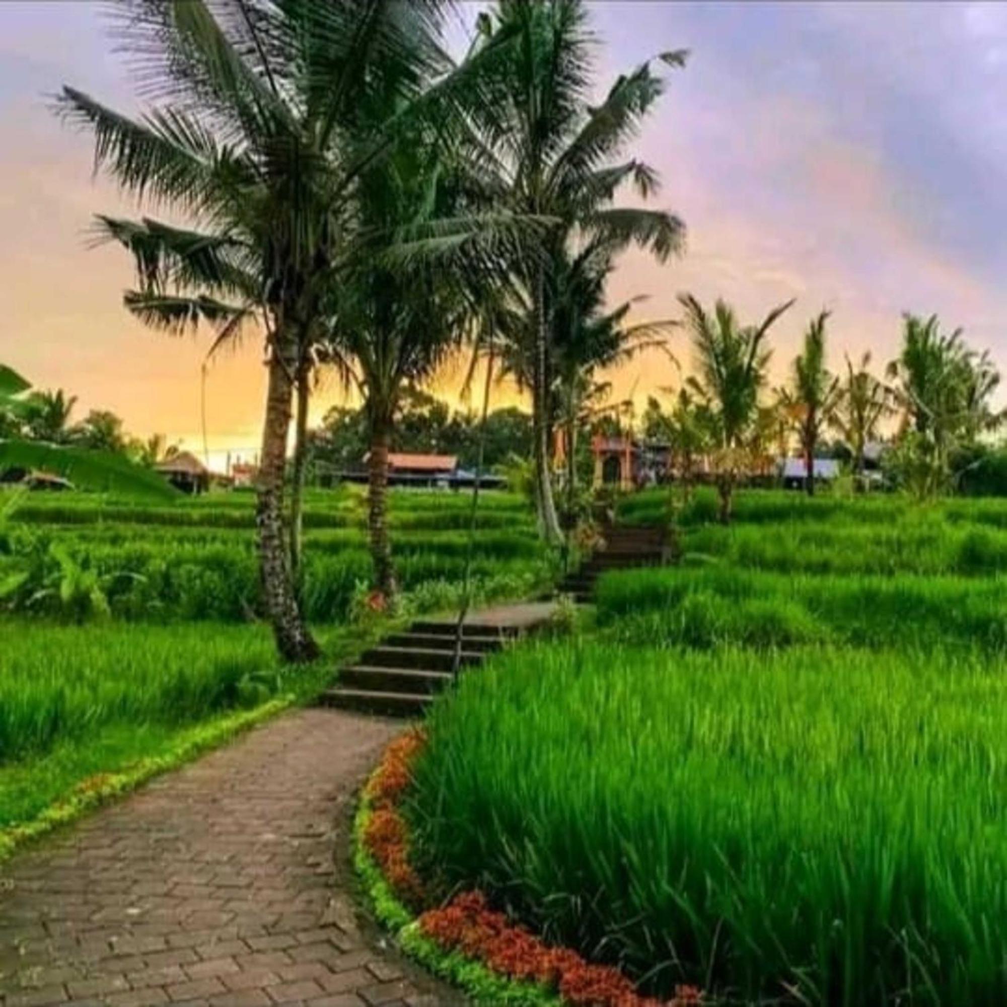 Pondok Kungkang Villa 2 Ubud Dış mekan fotoğraf